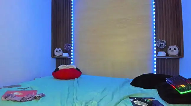 Snapshot of DandyWolf_ chatting on December 24, 2024, 5:27 am DandyWolf online show from December 24, 2024, 5:27 am