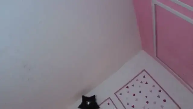 Snapshot of stephania_t chatting on January 10, 2026, 12:33 pm stephania t online show from January 10, 2026, 12:33 pm