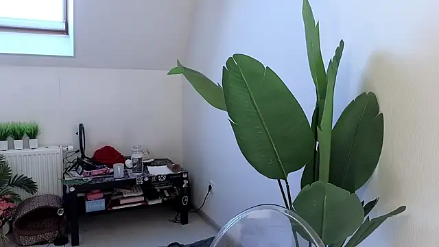 Snapshot of violetviolator chatting on March 9, 2025, 6:06 am violetviolator online show from March 9, 2025, 6:06 am