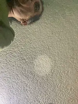 Effyvice13 online show from September 29, 2025, 6:09 am