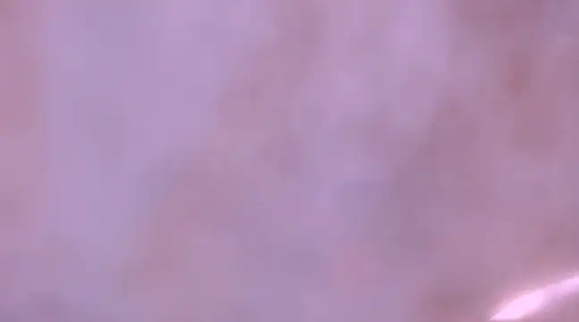 bubble red online show from February 11, 2025, 1:31 am