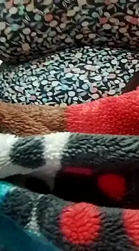 Snapshot of houda_sex_hot chatting on February 28, 2025, 11:12 pm houda sex hot online show from February 28, 2025, 11:12 pm