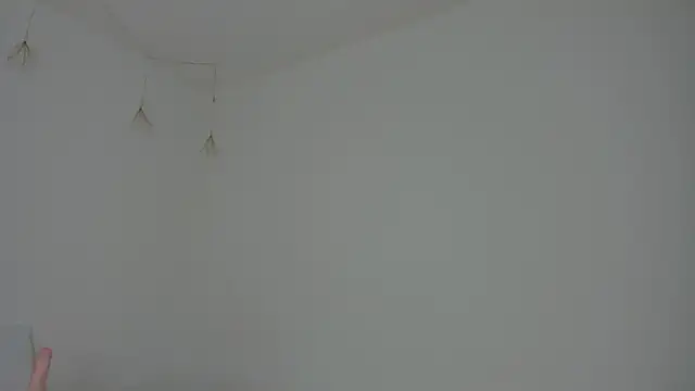 Lori Evanss online show from February 4, 2025, 1:16 pm