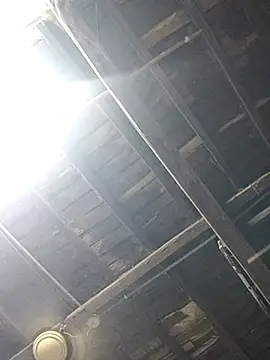 blackcobra94 online show from February 20, 2025, 8:36 pm