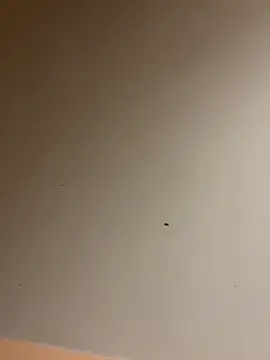 Snapshot of lilyxafterdark chatting on December 4, 2024, 8:17 am lilyxafterdark online show from December 4, 2024, 8:17 am