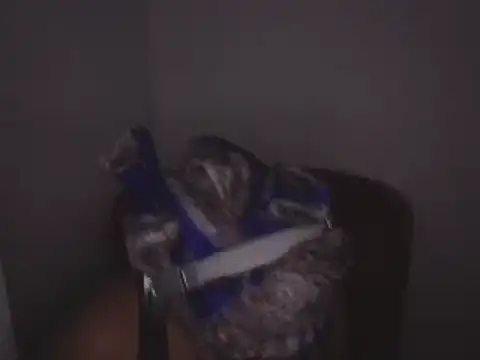 Snapshot of Makemymoney27 chatting on December 24, 2024, 2:01 pm Makemymoney27 online show from December 24, 2024, 2:01 pm