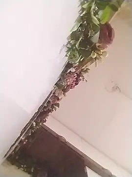 jenilmax online show from March 31, 2026, 1:24 pm