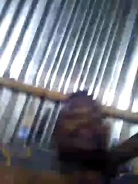 CptDickX258 online show from January 5, 2025, 1:56 am