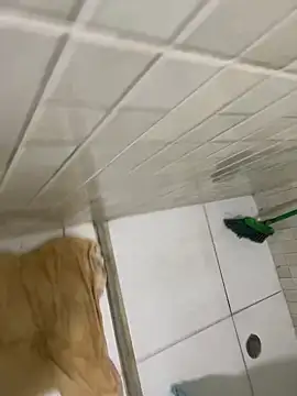 Snapshot of rodrigo21Cm_ chatting on February 6, 2025, 2:44 am rodrigo21Cm online show from February 6, 2025, 2:44 am