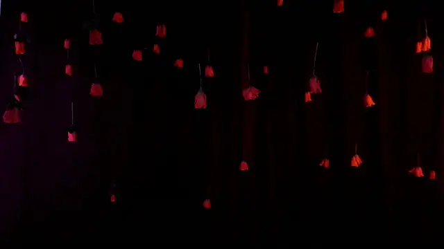 Snapshot of lnxmst chatting on February 14, 2026, 11:49 pm lnxmst online show from February 14, 2026, 11:49 pm