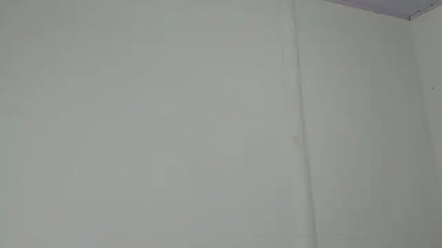 Amir mikelsen online show from February 13, 2026, 6:19 pm