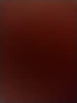 RobbyThrobb online show from December 20, 2024, 5:04 am