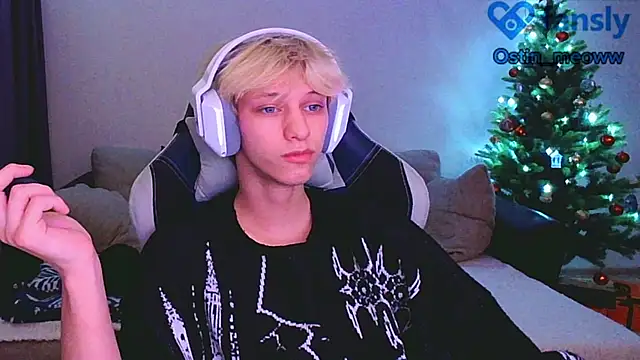 Ostin meow online show from January 12, 2025, 3:46 pm