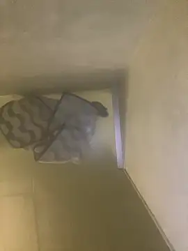 Tommy y Pamela online show from February 17, 2026, 3:26 am