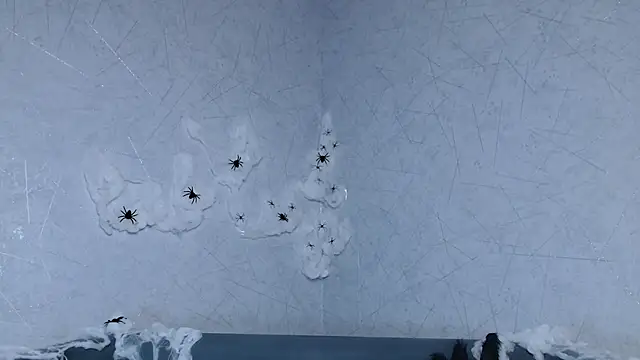 Snapshot of sofiaa_here chatting on October 9, 2025, 12:33 am sofiaa here online show from October 9, 2025, 12:33 am