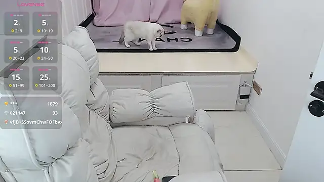 Snapshot of Tang-1314 chatting on February 5, 2025, 5:30 am Tang-1314 online show from February 5, 2025, 5:30 am