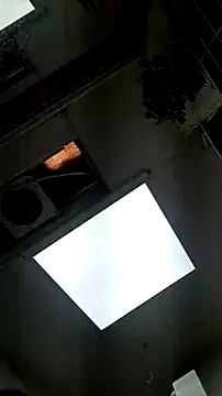 tula chyk online show from February 11, 2026, 2:39 pm