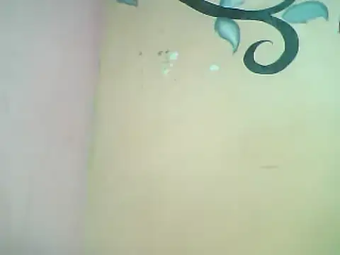 Snapshot of Fariana01 chatting on January 3, 2025, 10:19 pm Fariana01 online show from January 3, 2025, 10:19 pm