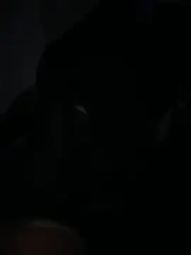 Bignc online show from March 27, 2026, 11:33 am