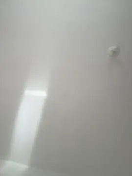 Morguisssz online show from November 20, 2025, 10:38 am