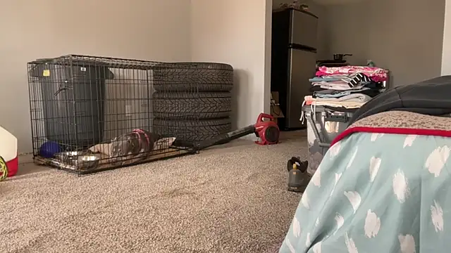 skarfosbabes69 online show from March 20, 2026, 4:30 pm