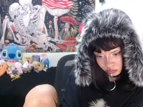 hachi kitty online show from April 3, 2026, 3:02 am