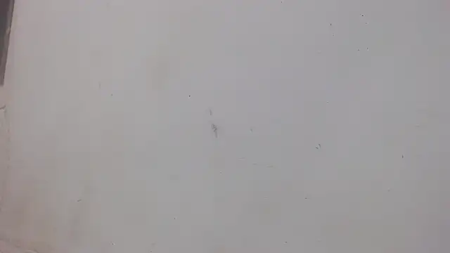 danilo302209 online show from February 1, 2025, 1:02 am