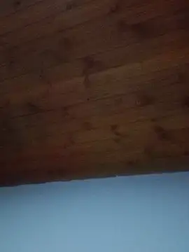 Darly Gomez online show from February 19, 2025, 8:41 pm