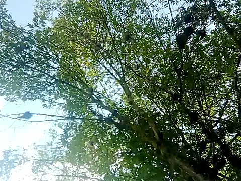 Darly Gomez online show from March 15, 2025, 3:27 pm