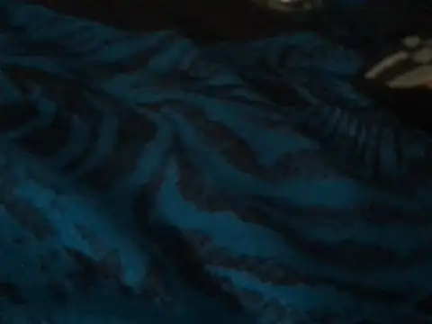 manuamador online show from February 1, 2025, 5:07 am