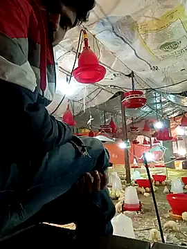 Snapshot of Roni1028 chatting on December 31, 2024, 5:11 am Roni1028 online show from December 31, 2024, 5:11 am