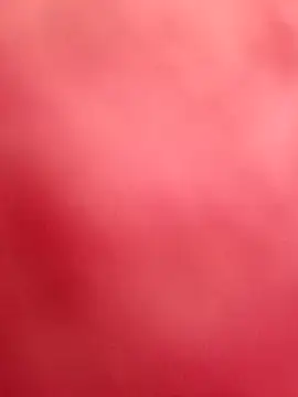 L amour baby online show from December 8, 2024, 7:43 pm