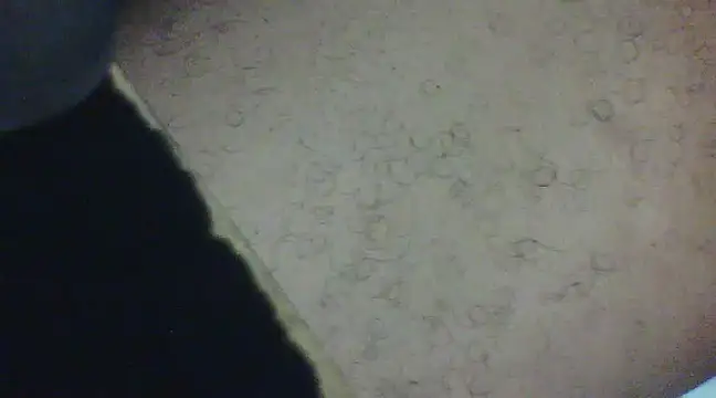 Penis58 online show from December 29, 2024, 5:22 pm