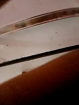 Snapshot of frotasso chatting on October 23, 2025, 11:14 pm frotasso online show from October 23, 2025, 11:14 pm