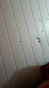 Snapshot of frotasso chatting on January 1, 2025, 10:32 am frotasso online show from January 1, 2025, 10:32 am