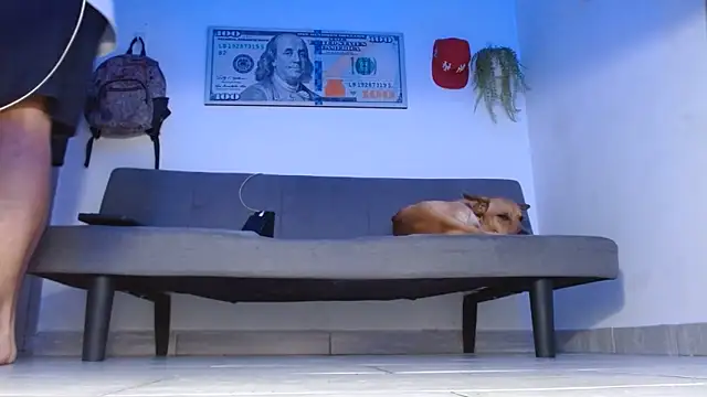 boss of cash online show from May 14, 2026, 12:07 am