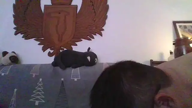 866532 online show from December 19, 2025, 4:20 pm