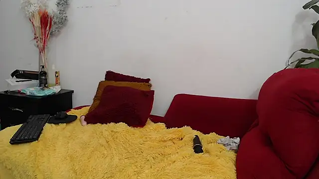 Snapshot of hannaashyel_12 chatting on December 30, 2024, 5:02 pm hannaashyel 12 online show from December 30, 2024, 5:02 pm