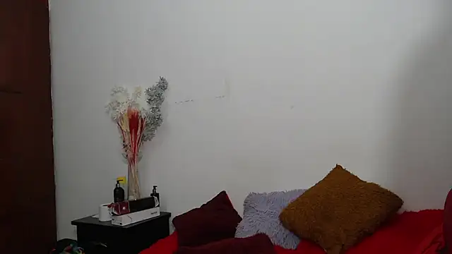 Snapshot of hannaashyel_12 chatting on December 19, 2024, 12:23 pm hannaashyel 12 online show from December 19, 2024, 12:23 pm