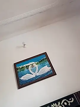 Snapshot of Deevviin chatting on October 29, 2025, 3:27 am Deevviin online show from October 29, 2025, 3:27 am