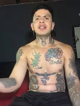 edttatuado19 online show from February 6, 2025, 4:53 am