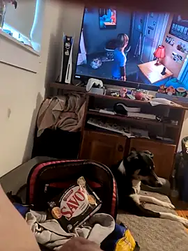 biggnipz online show from November 7, 2025, 5:34 am