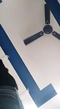 dannyD06969 online show from February 27, 2025, 8:46 am