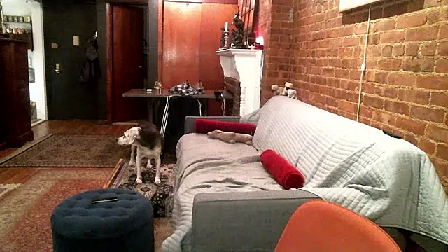 Snapshot of Johnny_Bottoms chatting on October 23, 2025, 10:19 pm Johnny Bottoms online show from October 23, 2025, 10:19 pm