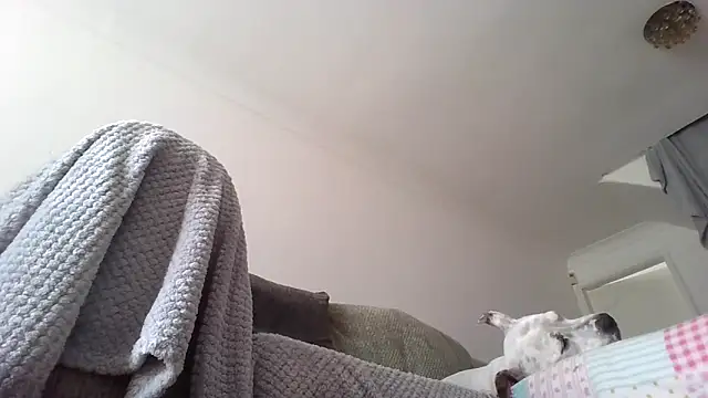 jiianjohn online show from September 28, 2025, 2:24 pm