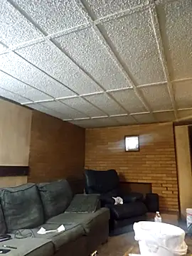 Snapshot of zaneporter46 chatting on September 22, 2025, 2:17 am zaneporter46 online show from September 22, 2025, 2:17 am