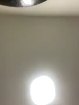 Lexi Belle  online show from January 12, 2025, 2:56 am