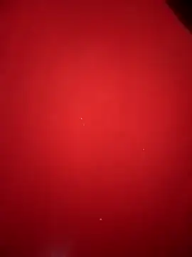 EazyBoyFucks online show from November 29, 2025, 10:04 am