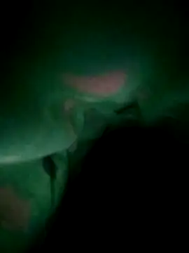 Snapshot of Bekexi chatting on October 25, 2025, 6:52 pm Bekexi online show from October 25, 2025, 6:52 pm