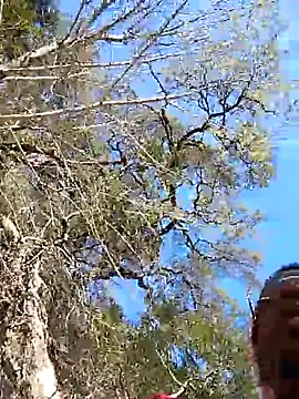 Snapshot of VelvetChocolate7 chatting on February 24, 2026, 8:31 pm VelvetChocolate7 online show from February 24, 2026, 8:31 pm